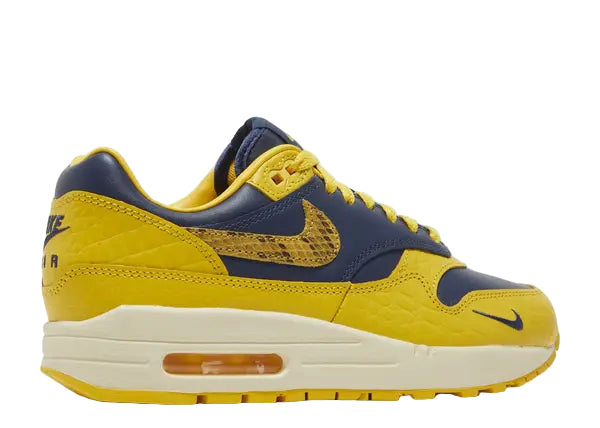 Nike Air Max 1 CO.JP Michigan Head to Head Back