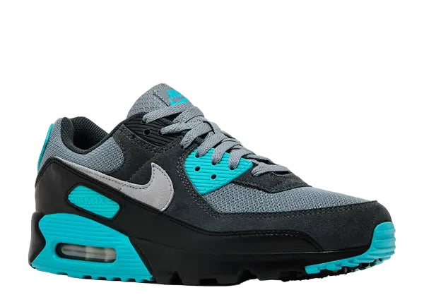 Nike Air Max 90 Cool Grey Dusty Cactus Black Wolf Grey Front