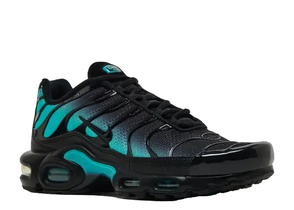 Nike Air Max Plus Black Dusty Cactus Front