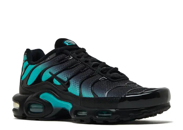 Nike Air Max Plus Black Dusty Cactus Front