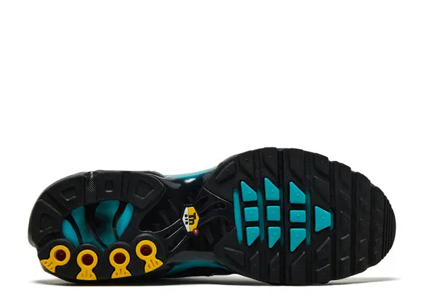 Nike Air Max Plus Black Dusty Cactus Bottom