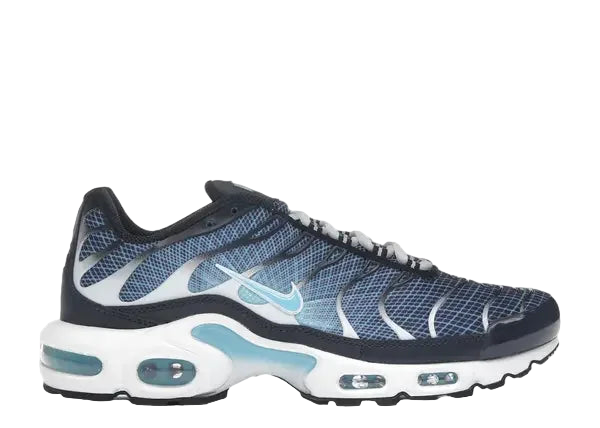 Nike Air Max Plus Dark Obsidian