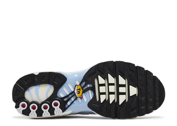 Nike Air Max Plus Daybreak Bottom