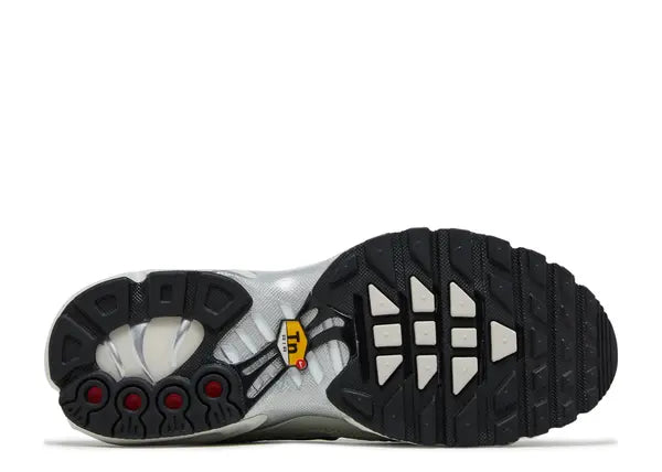 Nike Air Max Plus Light Silver Bottom