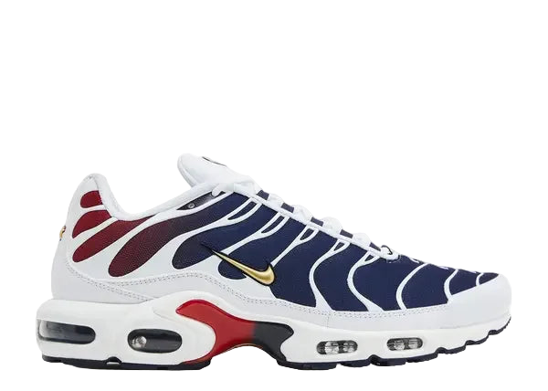Nike Air Max Plus PSG Side
