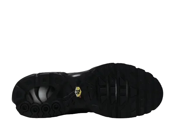 Nike Air Max Plus Triple Black Bottom