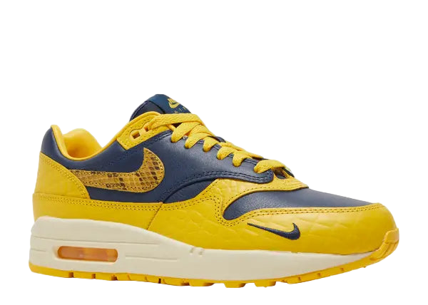 Nike Air Max 1 CO.JP Michigan Head to Head Front