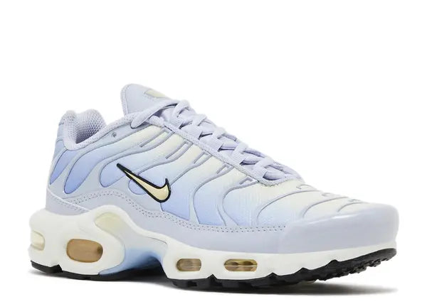 Nike Air Max Plus Daybreak Front