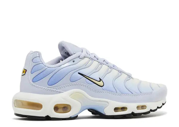 Nike Air Max Plus Daybreak Back