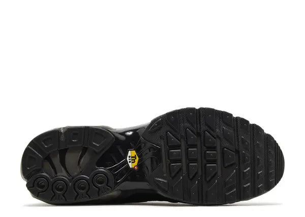 Nike Air Max Plus Premium Paris Bottom