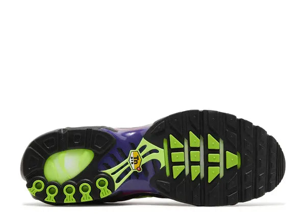 Nike Air Max Plus Rebellious Air Fireberry Bottom