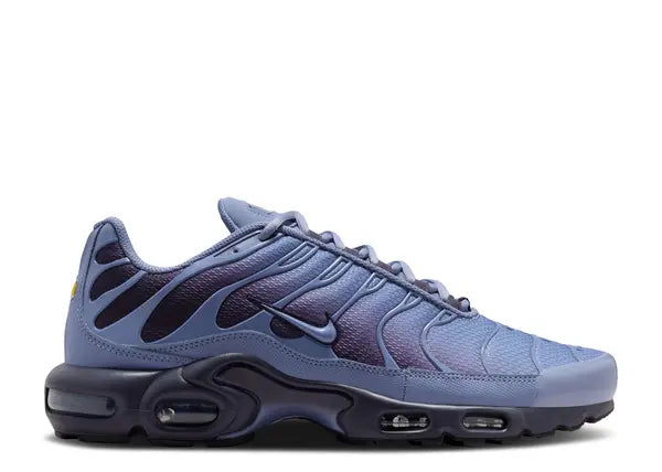 Nike Air Max Plus World Indigo