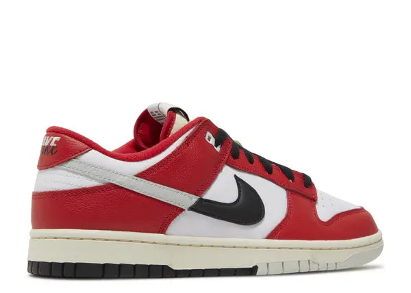 Nike Dunk Low Chicago Split Back